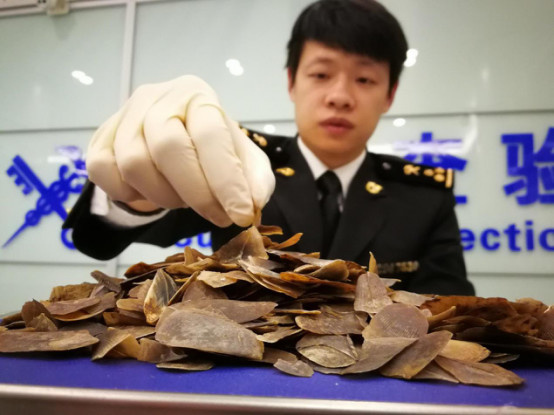 Deputies call for more efforts to protect wild animals Deputies call for more efforts to protect wild animals