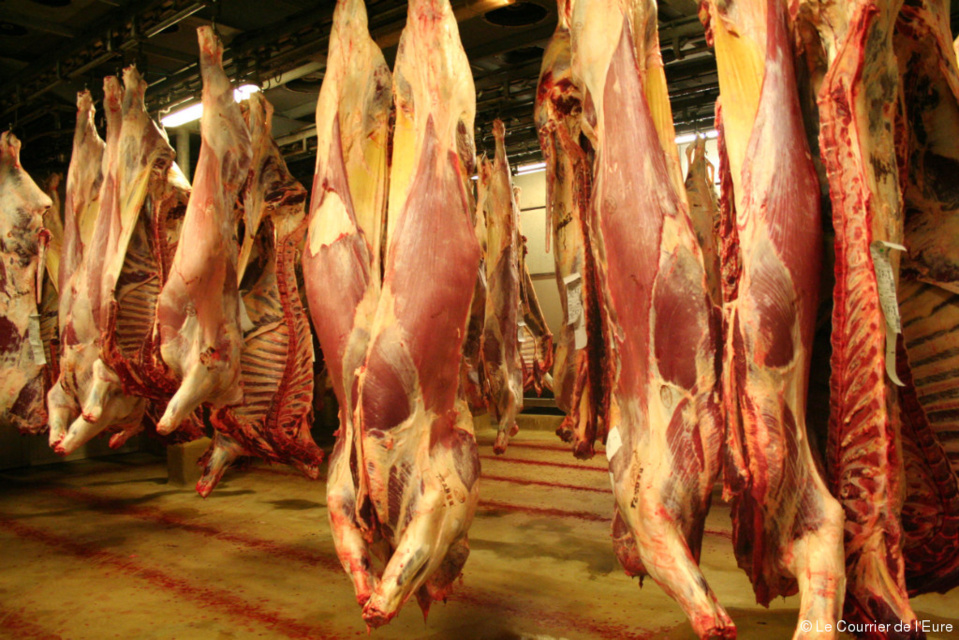 Côte d’Ivoire, Mali, Burkina Faso : Vers une harmonisation des normes sanitaires dans la filière bétail et viande Côte d’Ivoire, Mali, Burkina Faso : Vers une harmonisation des normes sanitaires dans la filière bétail et viande