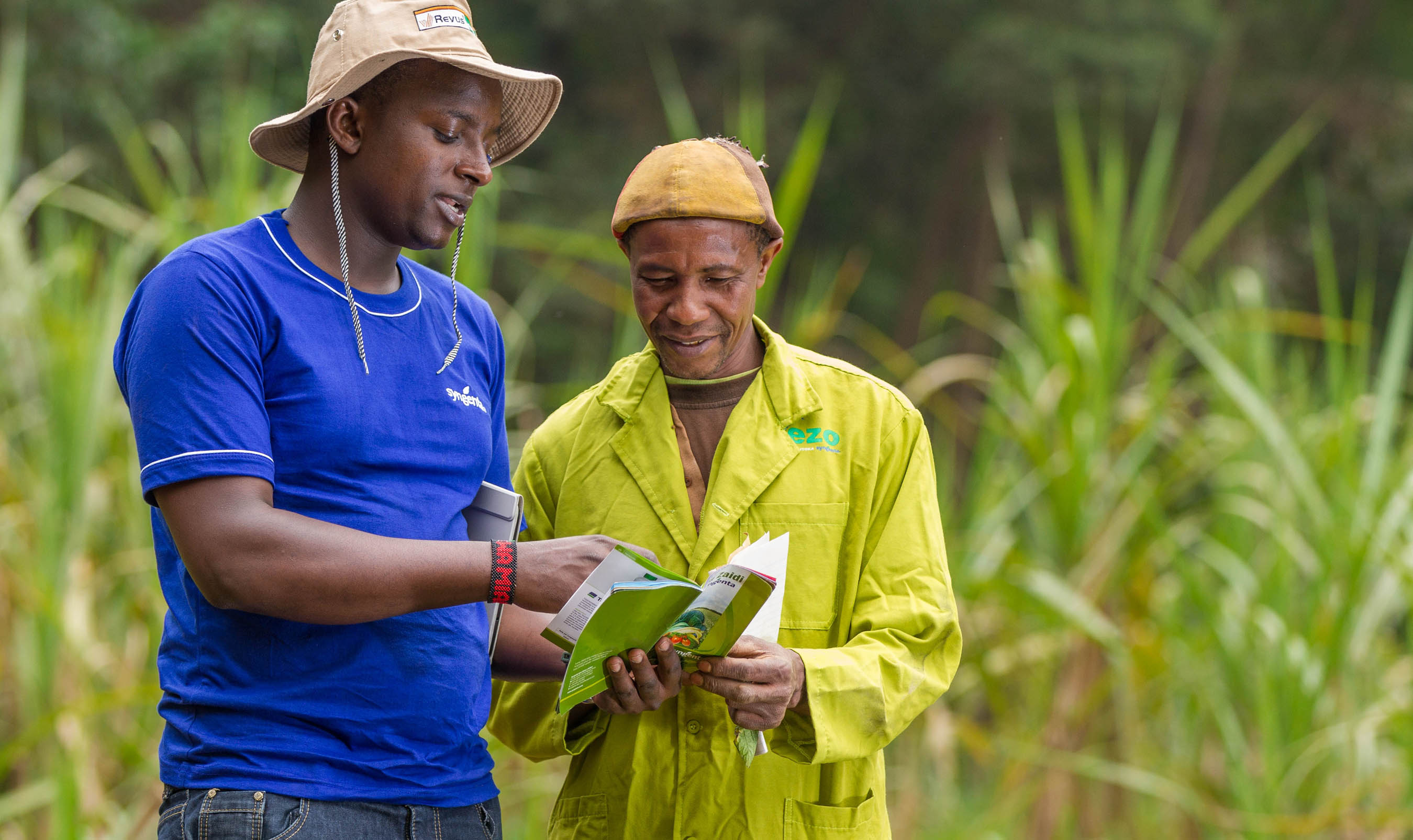 Développement des petits exploitants agricoles africains : les progrès sont lents