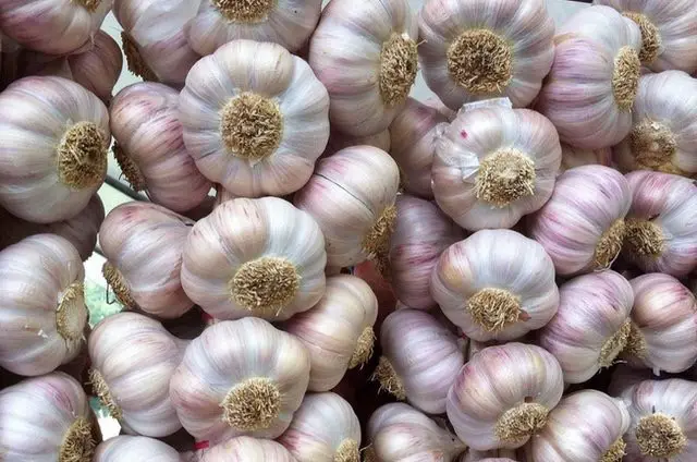‘Garlic town’ goes global