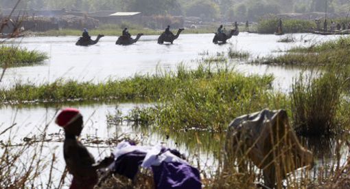 Ngouboua (Tchad), le 19 janvier 2015. Chameaux traversant le lac Tchad © Reuters/Emmanuel Braun