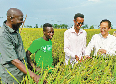 China to deepen agricultural cooperation with Africa