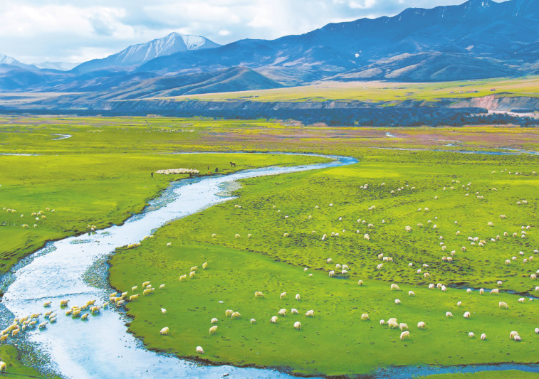 A panoramic view of the Sanjiangyuan area. (Photo from the administration bureau of Sanjiangyuan National Park)
