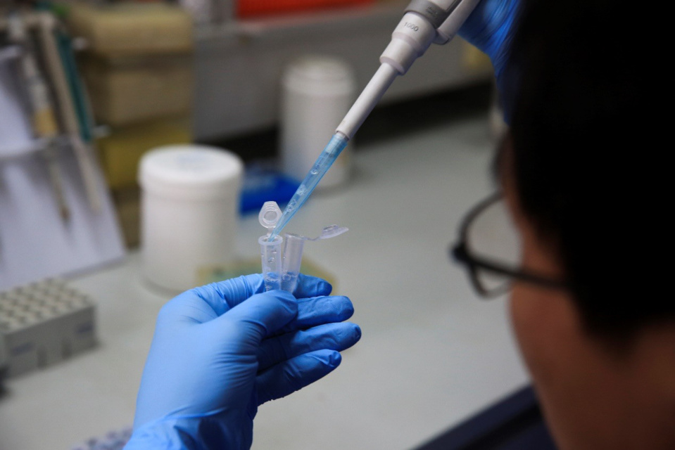 A researcher prepares for a test at a national key laboratory of silkworm genome biology in Southwest University, Chongqing municipality, May 31, 2017. (Photo by CFP)