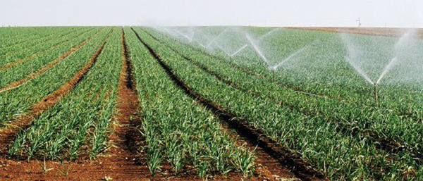 Crédits photo : DR