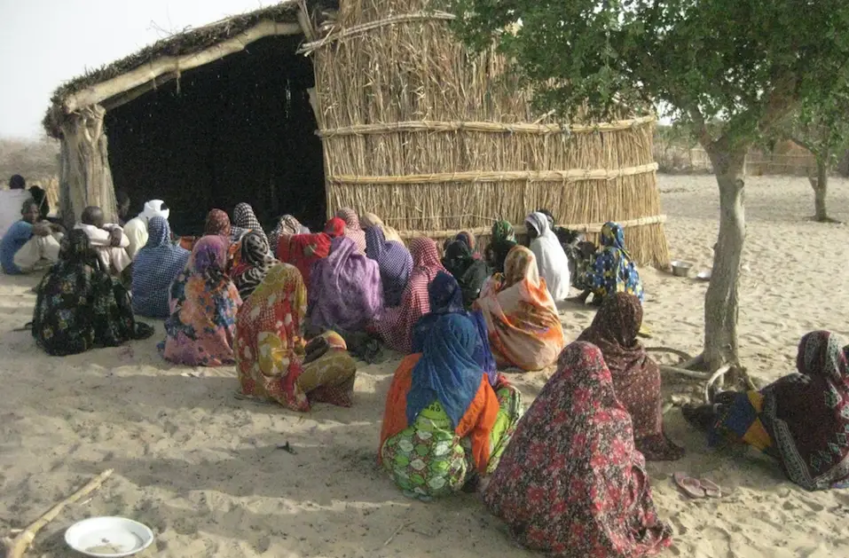 Tchad : le CEDPE appelle les pays du Lac Tchad à accélérer le développement
