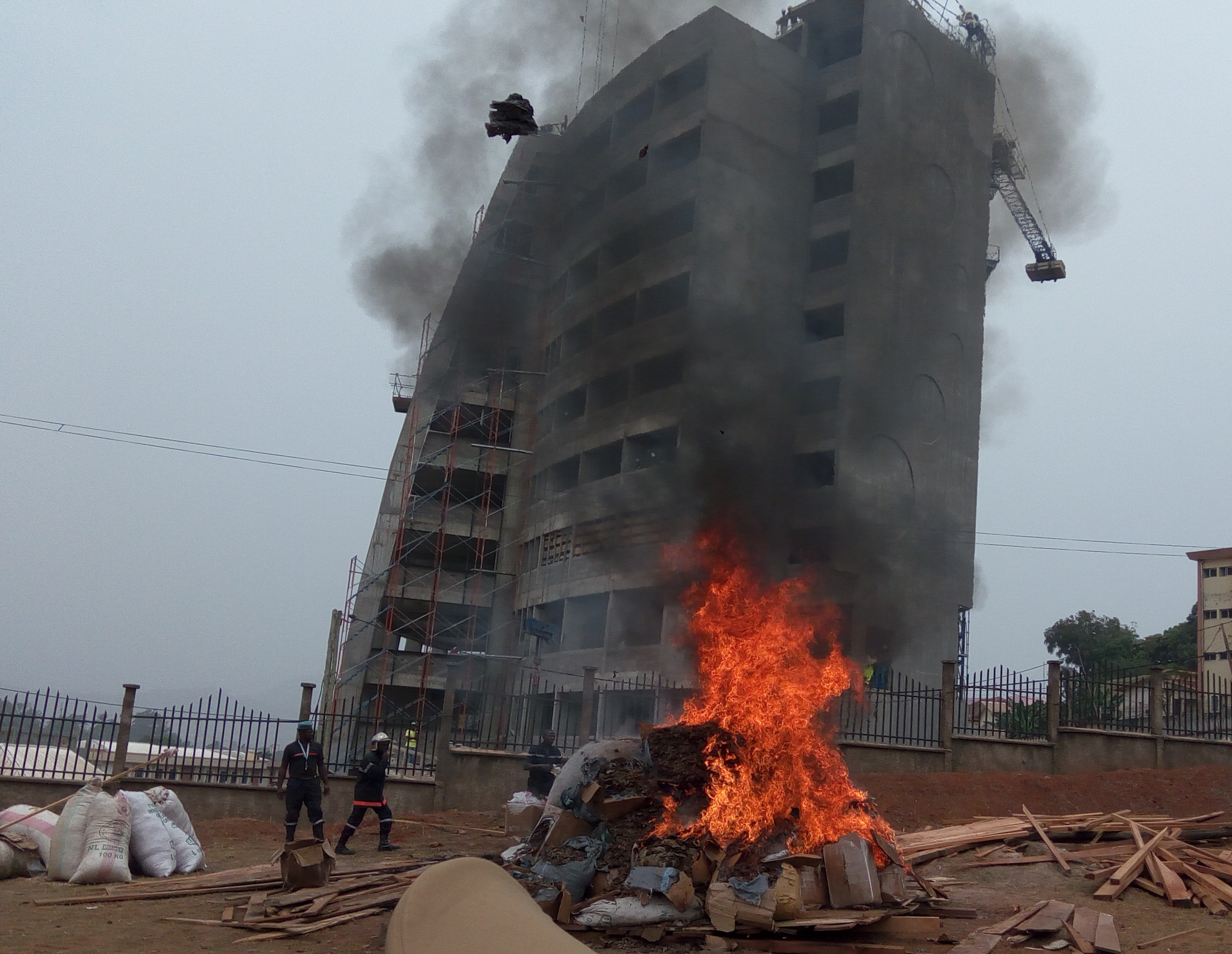 Trois tonnes d'écailles de pangolin détruites à Yaoundé par des agents de la protection de la faune. Trois tonnes d'écailles de pangolin détruites à Yaoundé par des agents de la protection de la faune.
