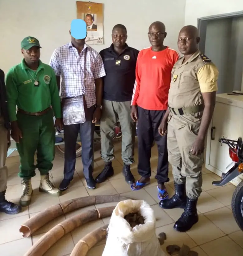 Une équipe de douaniers, de gendarmes et d'agents de la faune avec des produits en ivoire.