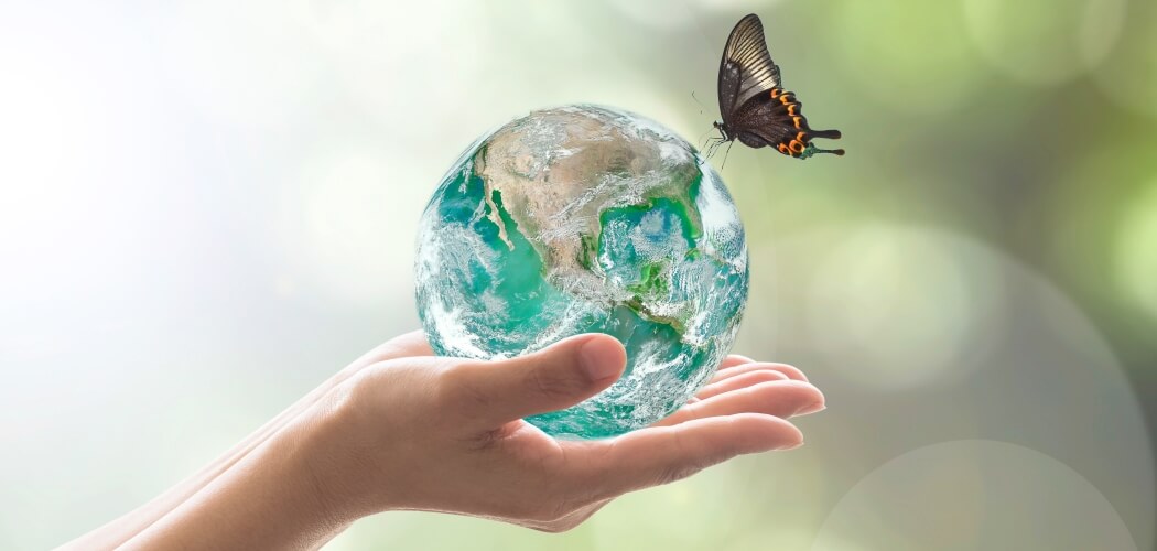 La Paix A L Aune Du Monde La Paix A L Aune Du Monde