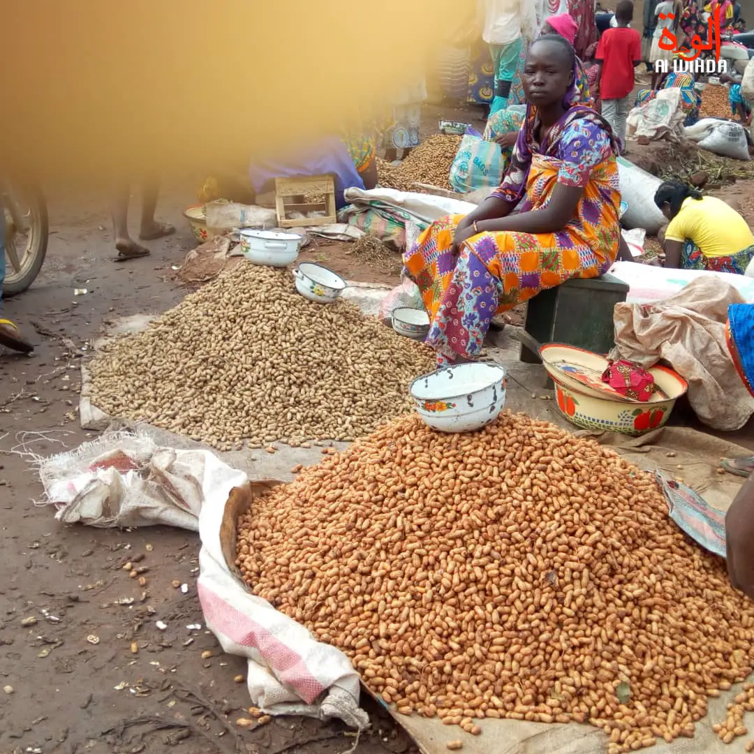 Tchad : au Logone Occidental, les ménages allégés par la baisse des prix