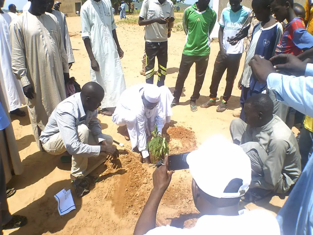 Célébration de la semaine nationale de l'arbre à Goz Beida au Tchad, le 31 août 2019. © Alwihda Info