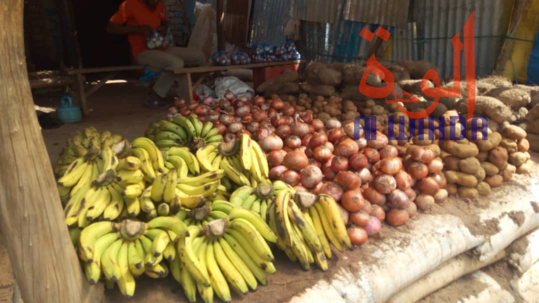 Tchad : au Sud, le désenclavement favorise l'activité économique avec le Cameroun