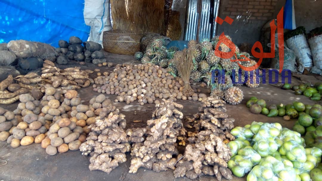 Tchad : au Sud, le désenclavement favorise l'activité économique avec le Cameroun