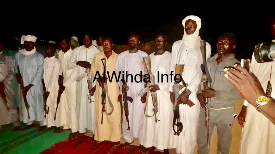 Tchad : des armes de guerre rendues volontairement par des villageois à l'Est. © Alwihda Info