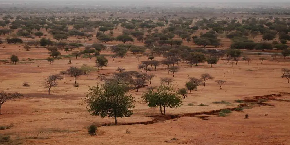Sahel. ©Center For International Forestry Research/Daniel Tiveau