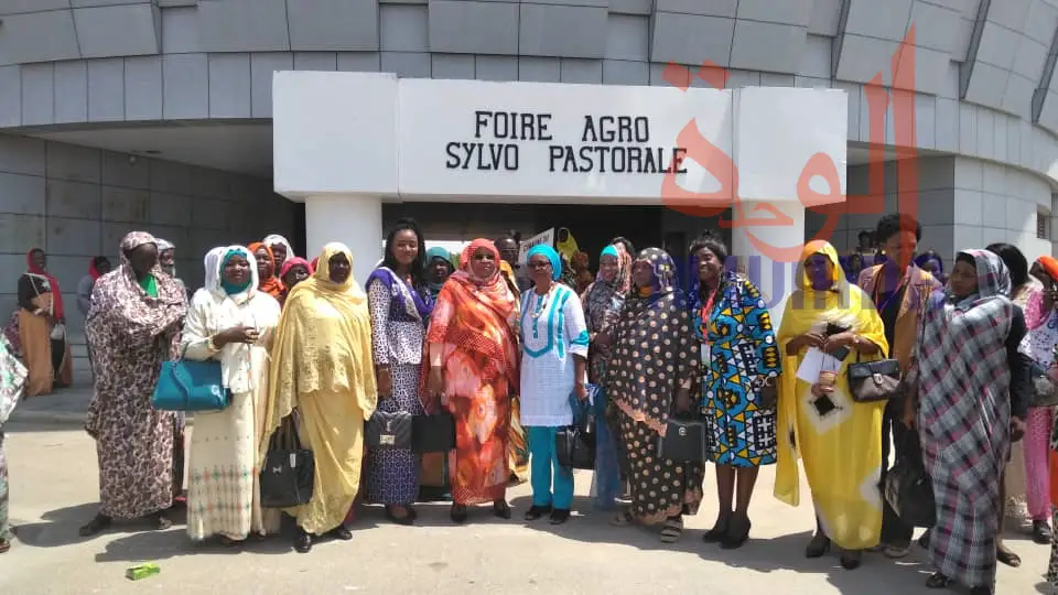 Tchad : le secteur informel féminin à l'honneur de la foire agro-pastorale. © Alwihda Info