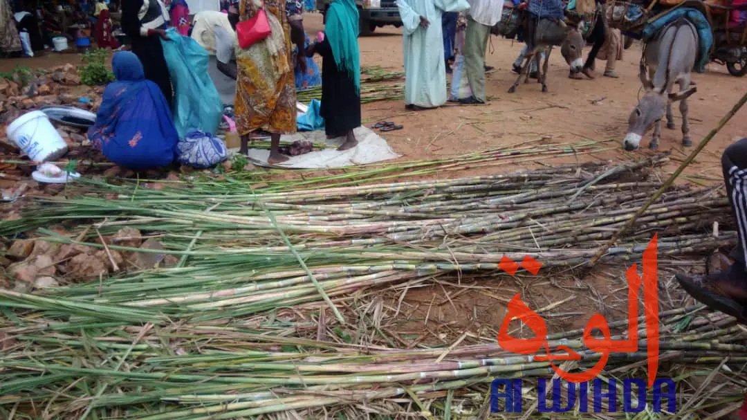 Tchad : à Goz Beida, le marché du dimanche prospère malgré l'état d'urgence. © Alwihda Info