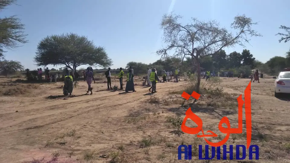 Tchad : contre la désertification, 6 hectares mis à disposition de Citoyens sans frontières