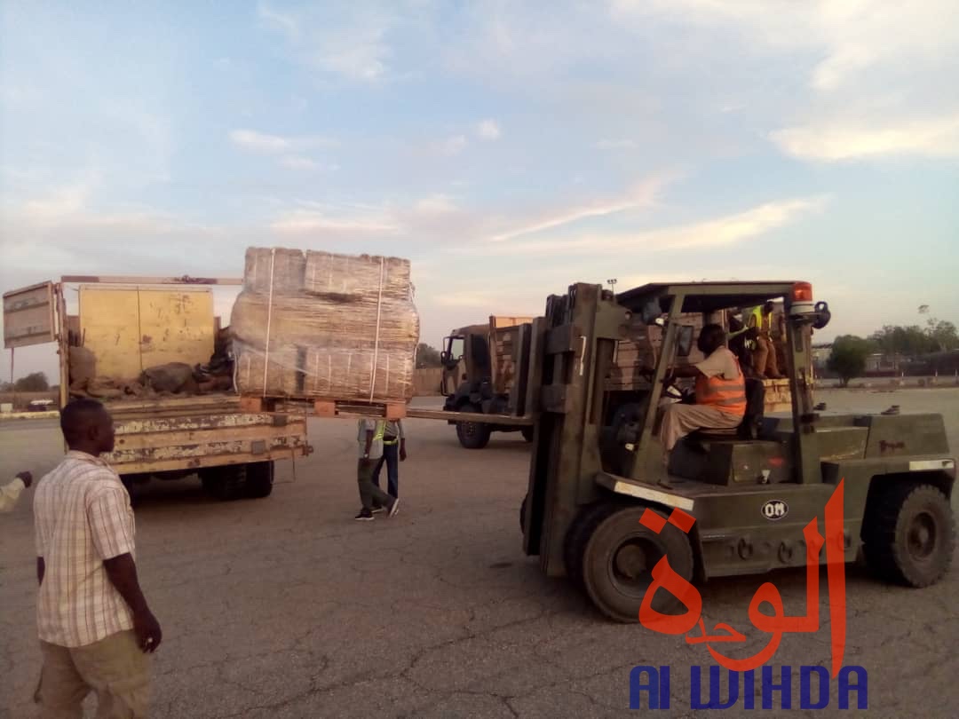 Tchad : un avion cargo transportant des oryx et addax se pose à l'aéroport d'Abéché. © Alwihda Info