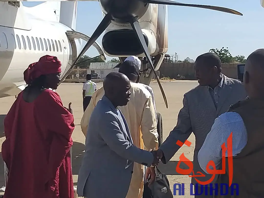 Tchad : les travaux d'installation de la pelouse du stade d'Abéché lancés demain