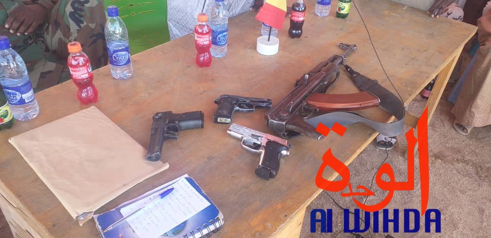 Tchad : à l'Est, la sensibilisation au désarmement porte ses fruits Tchad : à l'Est, la sensibilisation au désarmement porte ses fruits