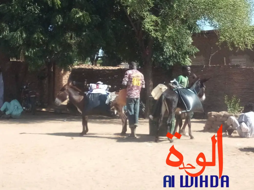 Tchad : retour aux sources pour certains avec l'état d'urgence. © Alwihda Info