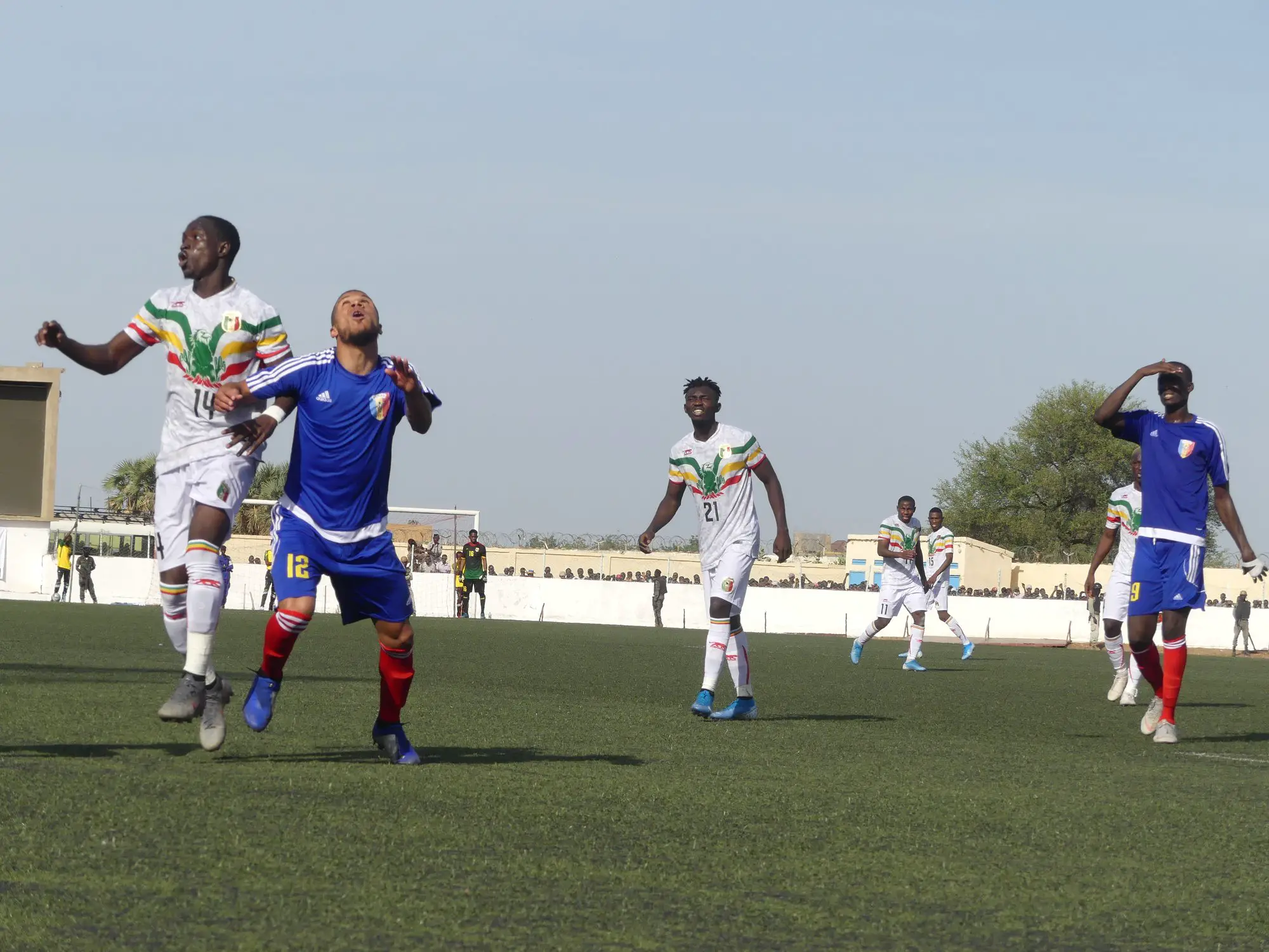 Classement Fifa : le Tchad à la 177ème place mondiale. © DR
