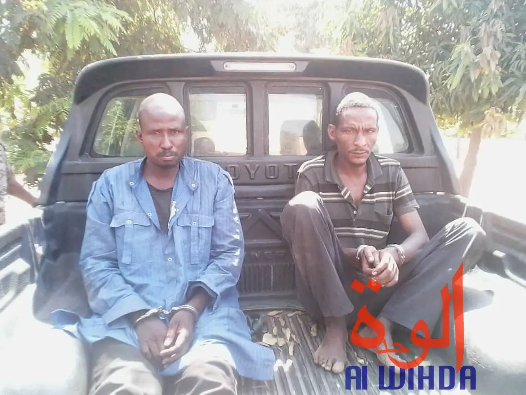 Tchad : double arrestation après l'assassinat d'un homme au Cameroun. © Alwihda Info