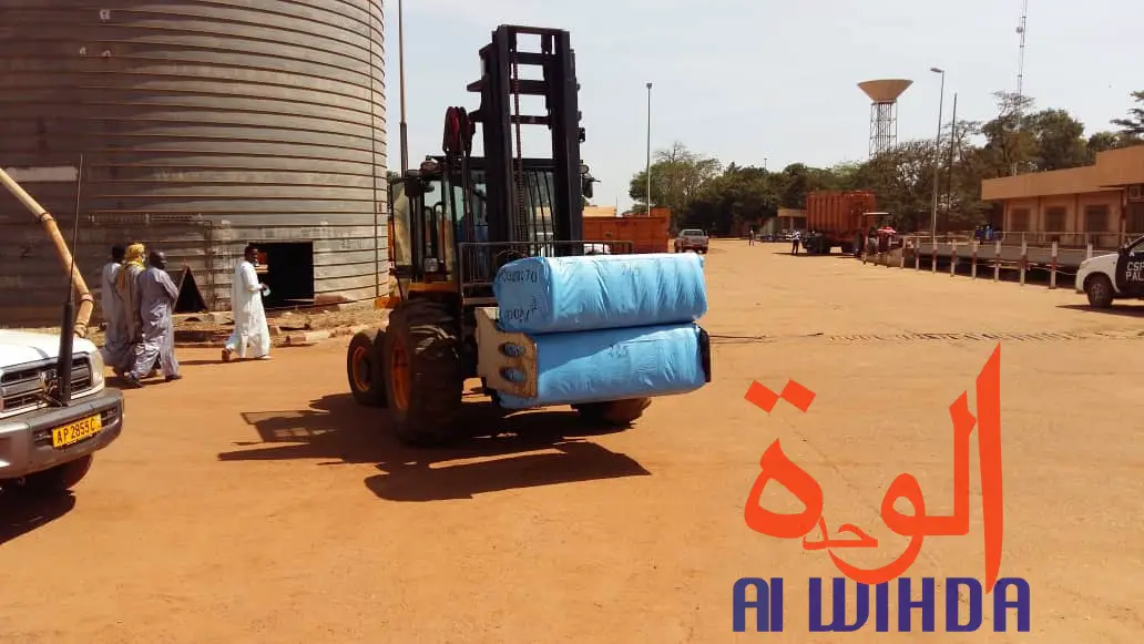 Tchad : lancement de la commercialisation du coton à l'usine Pala 2