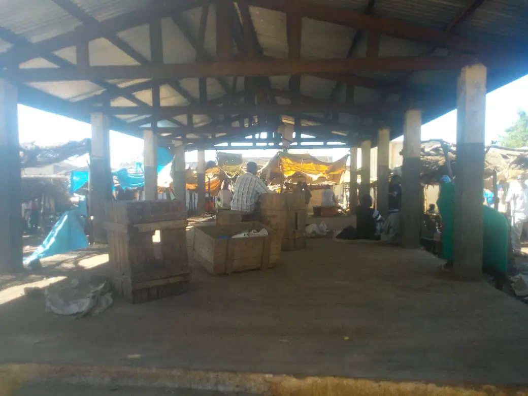 Tchad : grève des vendeurs de poisson à Pala