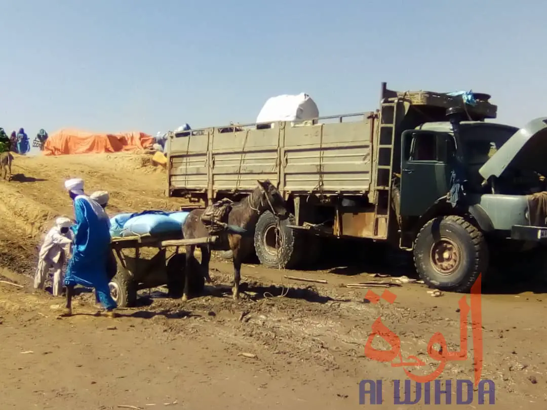 Tchad : à Koukou Angarana, l'activité économique fait oublier l'état d'urgence