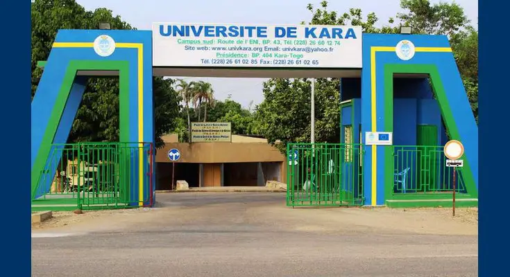 L’Université de Kara a mis au point une technique pour protéger les mangues greffées des insectes nuisibles. © DR