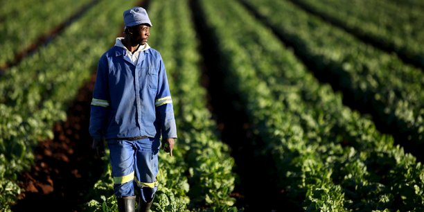 Le ministre BATAKA ambitionne de former 1000 entrepreneurs agricoles dans les 117 communes du Togo. © Reuters