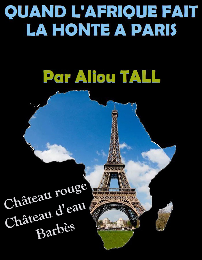 Quand L Afrique Fait La Honte A Paris Par Aliou Tall