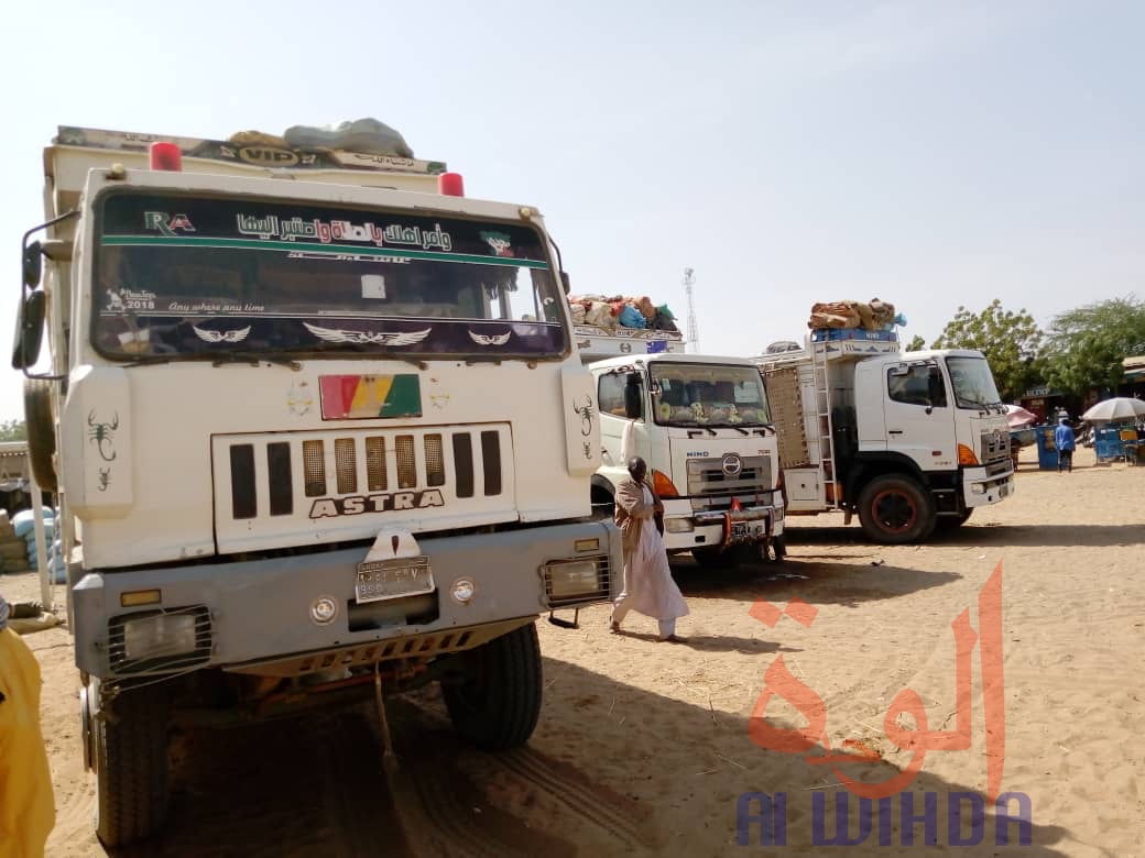 Tchad : à l'Est, le sésame s'exporte jusqu'au Soudan. © Alwihda Info Tchad : à l'Est, le sésame s'exporte jusqu'au Soudan. © Alwihda Info