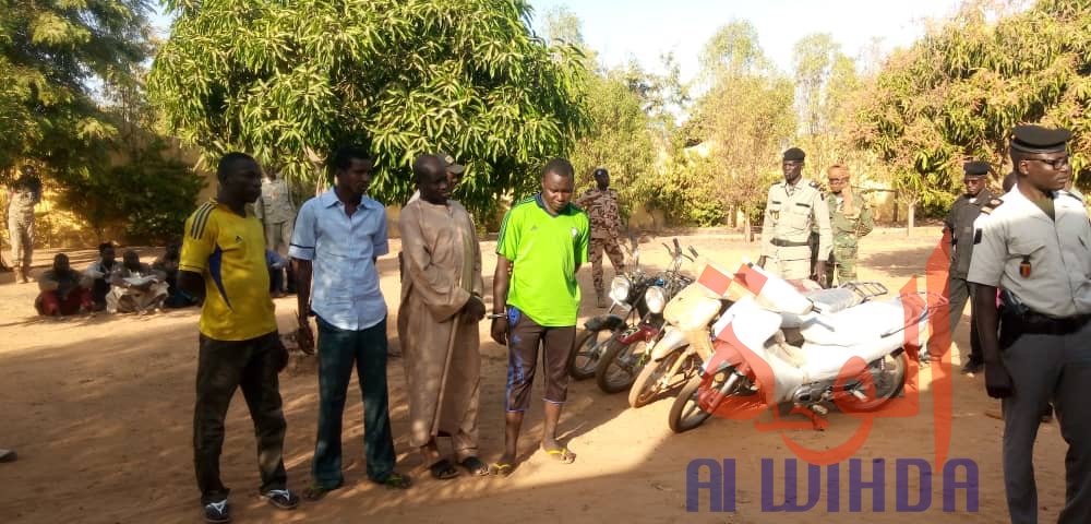 Tchad : 4 malfrats appréhendés à Pala, 5 motos récupérées