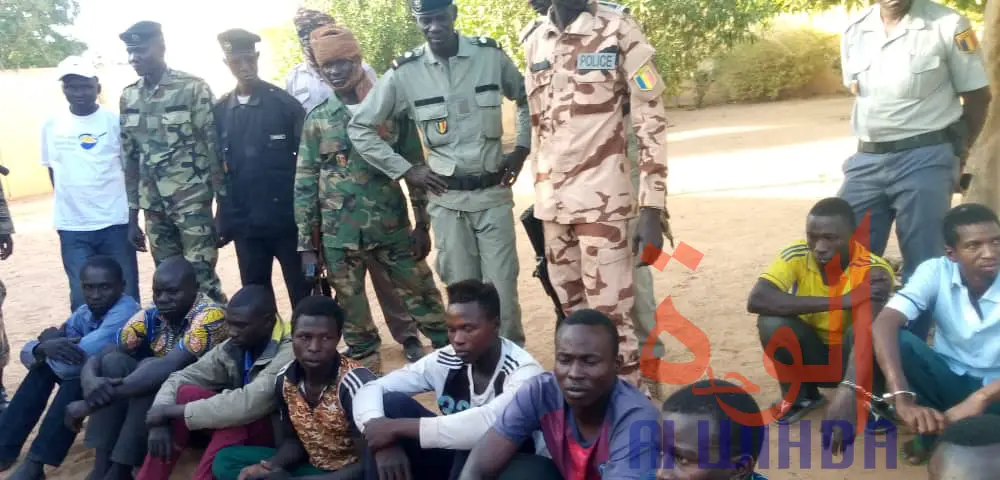 Tchad : un trafiquant de personnes et six jeunes arrêtés au Sud-ouest. © Foka Mapagne/Alwihda Info