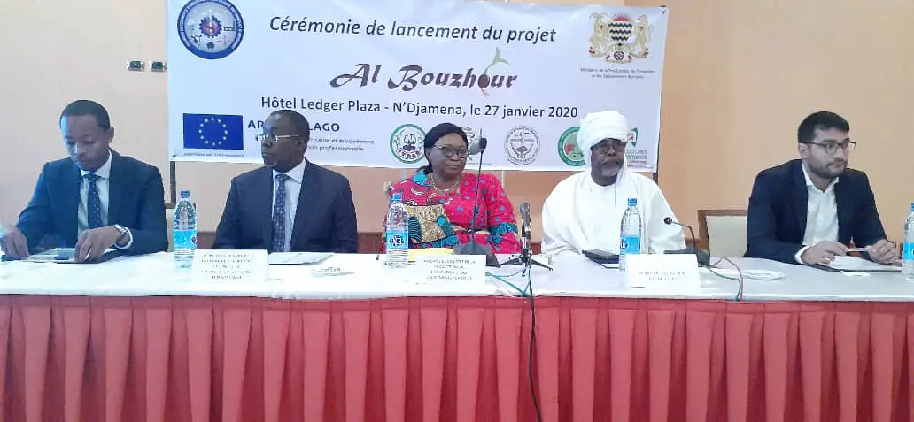 Tchad : le projet Al Bouzhour lancé pour renforcer le secteur agricole. © Djibrine Haïdar/Alwihda Info
