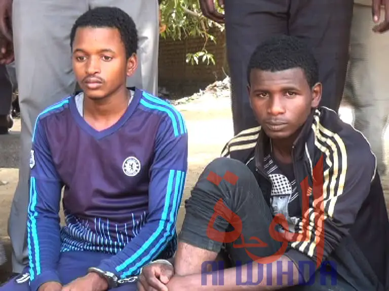 Tchad : 4 arrestations à Sarh après l'assassinat d'un jeune pour 500 Fcfa