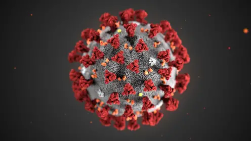 Représentation 3D du coronavirus 2019-nCoV. Les spicules rouges, qui sont vus comme une couronne (« corona ») en microscopie, lui servent à pénétrer dans les cellules. Alissa Eckert/CDC