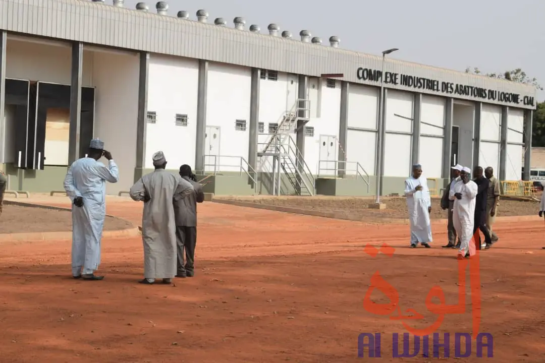 Tchad : l'abattoir moderne de Moundou, une aubaine économique. © Alwihda Info/PR