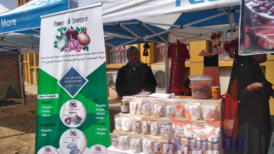 La Maison nationale de la femme organise des évènements pour la SENAFET 2020. © Malick Mahamat Tidjani/Alwihda Info La Maison nationale de la femme organise des évènements pour la SENAFET 2020. © Malick Mahamat Tidjani/Alwihda Info