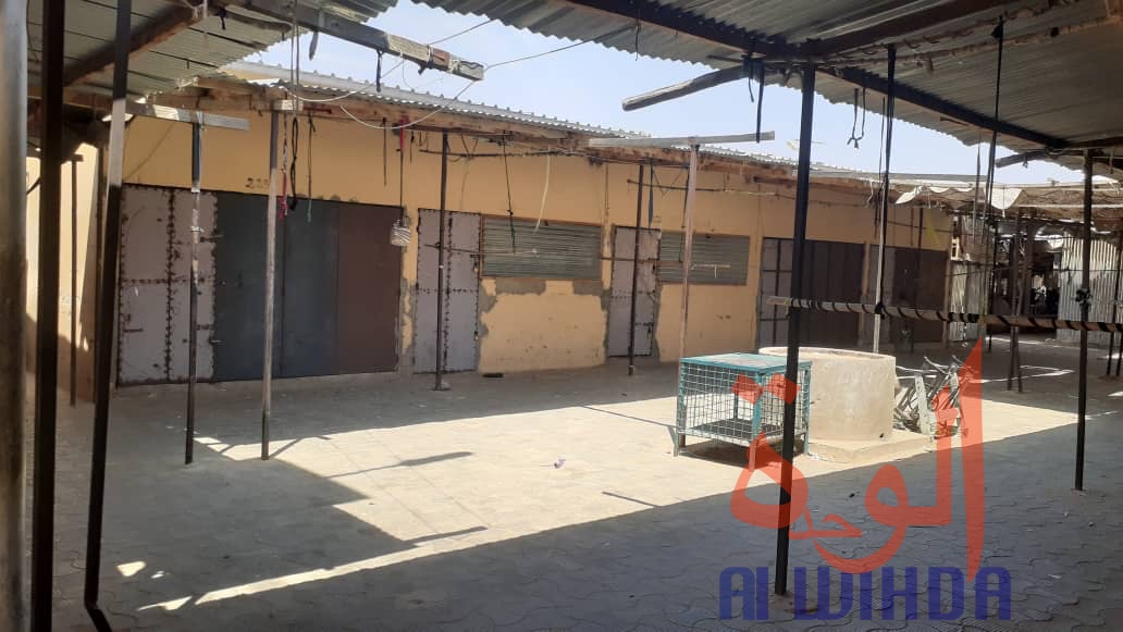 Tchad : grève générale des commerçants au marché de Biltine. © Hassanein Mahamat Hassan/Alwihda Info Tchad : grève générale des commerçants au marché de Biltine. © Hassanein Mahamat Hassan/Alwihda Info