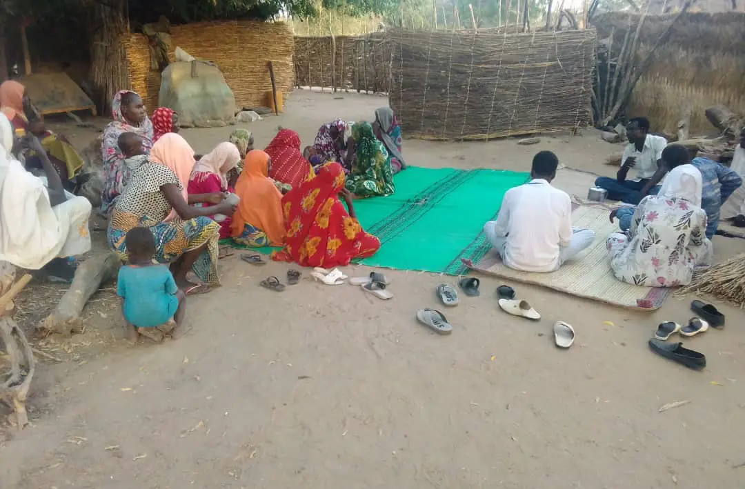 Tchad : au Guéra, des villageois sensibilisés sur la coupe abusive des arbres. © Adam Ibrahim/Alwihda Info