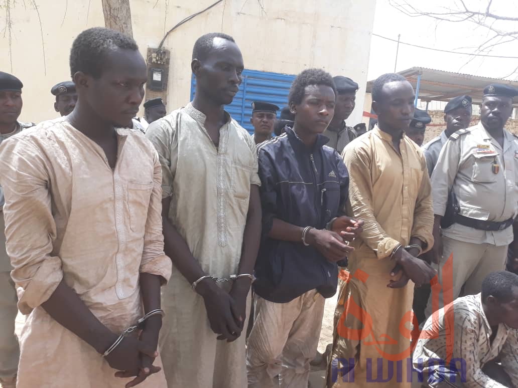 Tchad : une vingtaine d'arrestations à l'Est, des armes et de la drogue saisies Tchad : une vingtaine d'arrestations à l'Est, des armes et de la drogue saisies