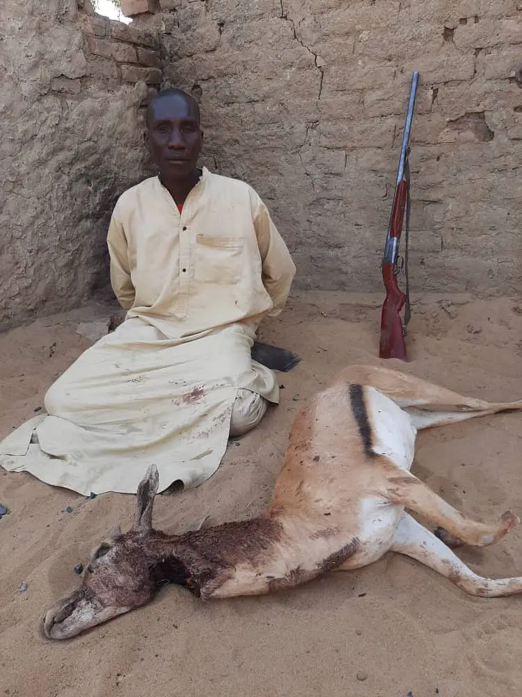 Tchad : un braconnier arrêté près de Djarmaya. © Kabouche