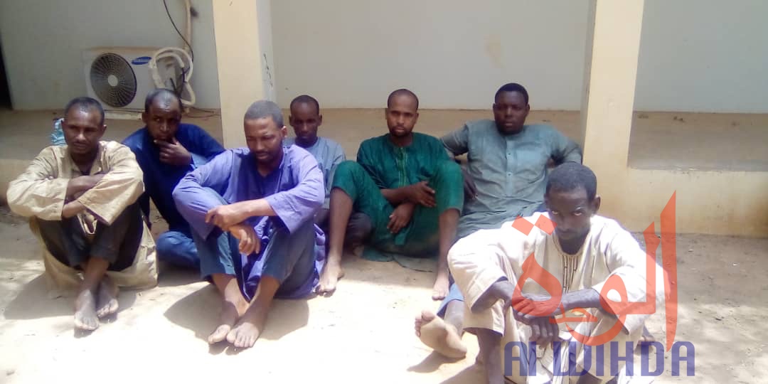 Tchad : 11 malfaiteurs dont sept camerounais arrêtés au Mayo Kebbi Ouest. © Foka Mapagne/Alwihda Info Tchad : 11 malfaiteurs dont sept camerounais arrêtés au Mayo Kebbi Ouest. © Foka Mapagne/Alwihda Info