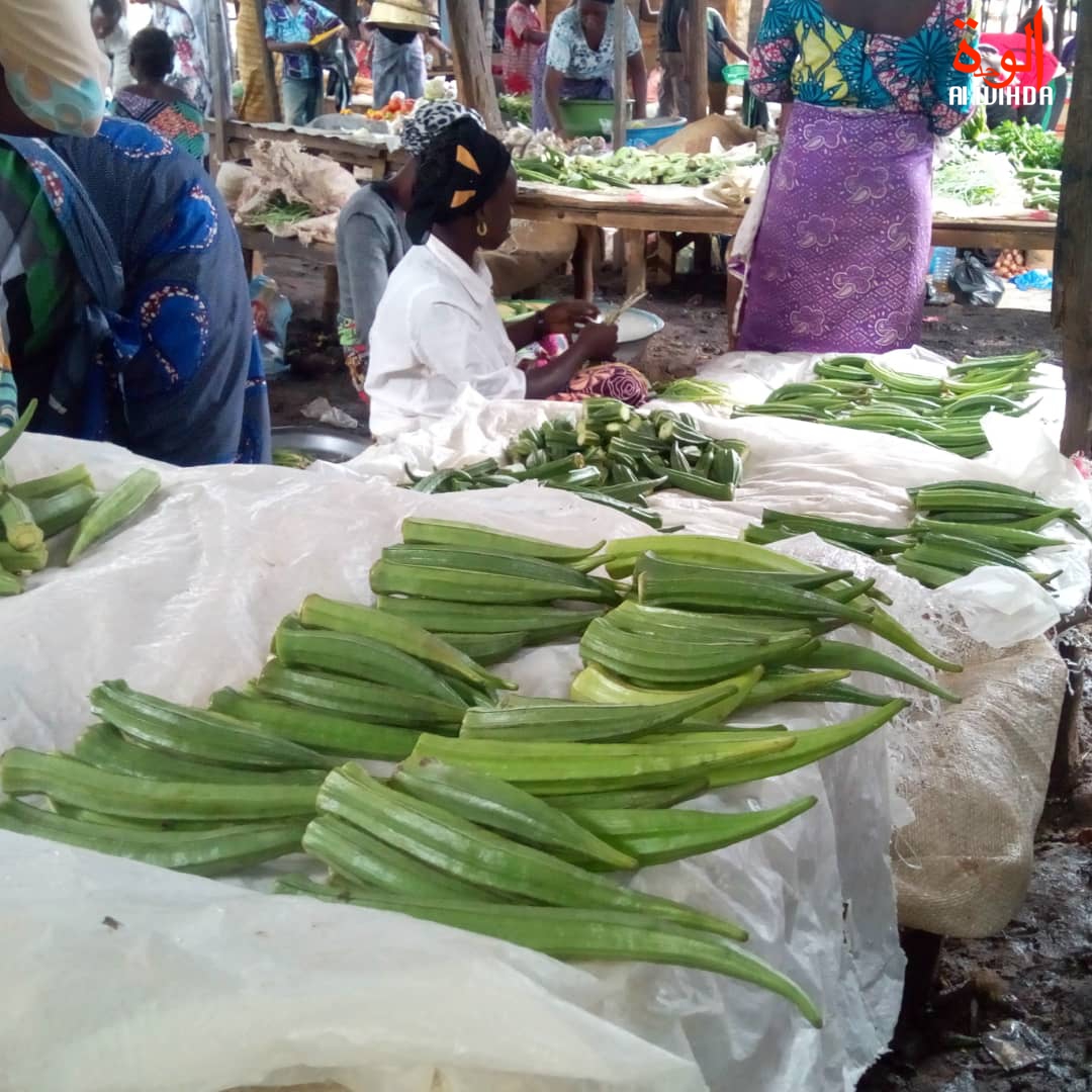 Le marché de Goz Beida, Tchad. Illustration. © Mahamat Issa Gadaya/Alwihda Info