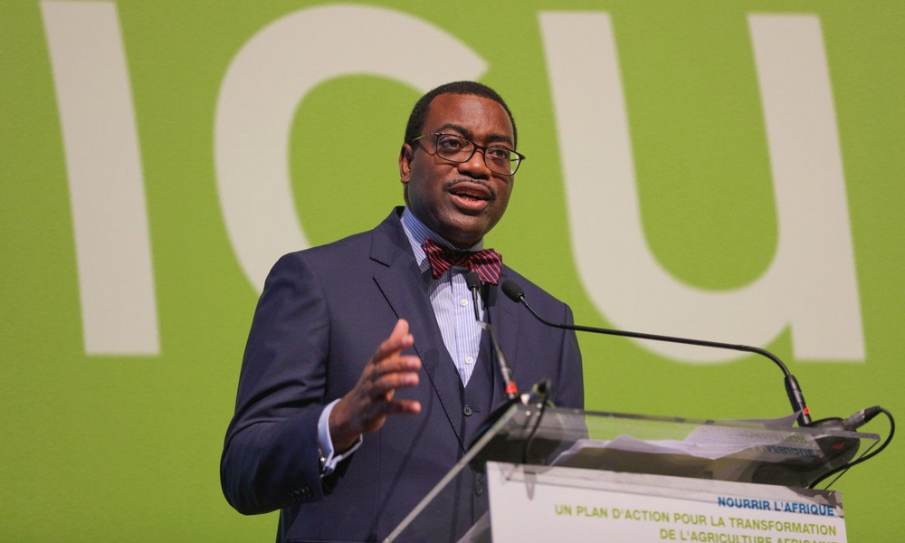 Akinwumi A. Adesina, président du Groupe de la Banque africaine de développement. © DR