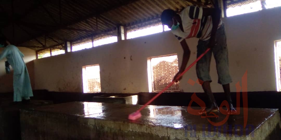 Tchad : à Pala, le marché hebdomadaire nettoyé par une centaine de citoyens. © Foka Mapagne/Alwihda Info Tchad : à Pala, le marché hebdomadaire nettoyé par une centaine de citoyens. © Foka Mapagne/Alwihda Info